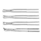 EQUINE DENTAL FORCEPS