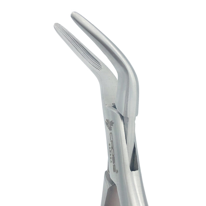 ROOT TIP EXTRACTION FORCEPS, 6.25" (16CM)