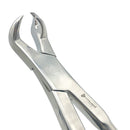 THREE ROOT FORCEPS OFF SIDE, 19" (48CM)