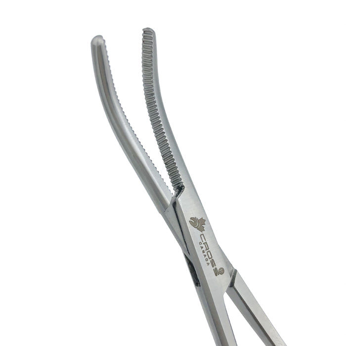 Spencer Wells Forceps, 6" (15cm), Curved